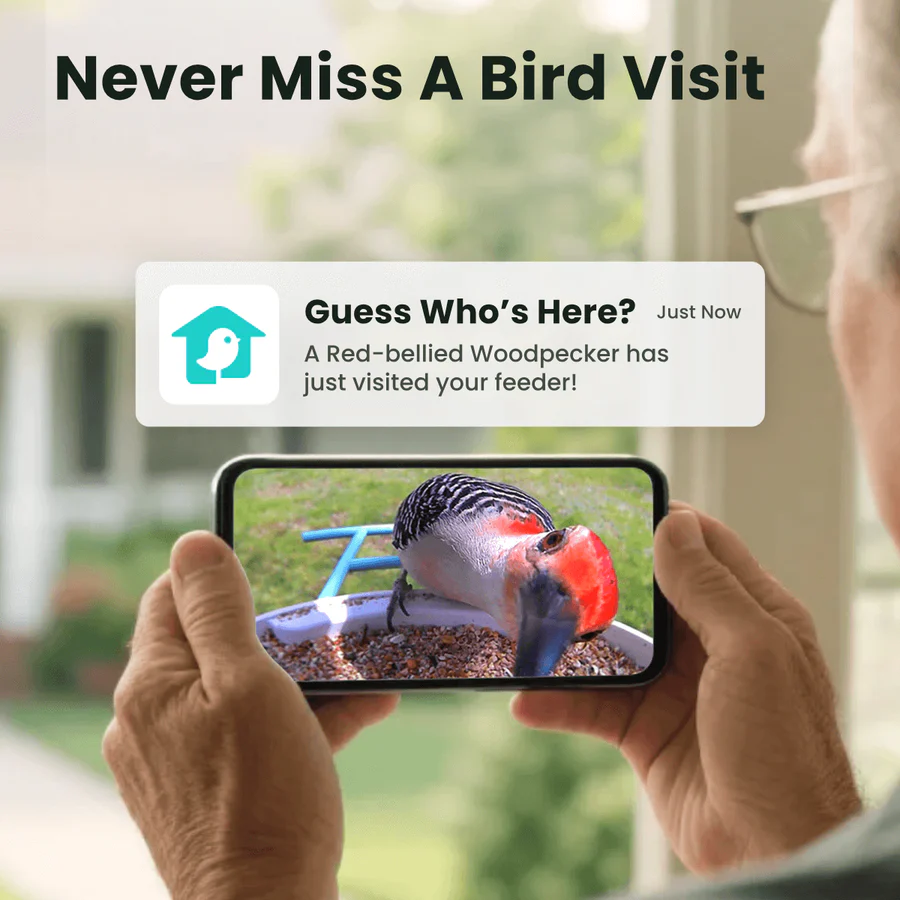 Smart bird feeder cameras by Birdfy